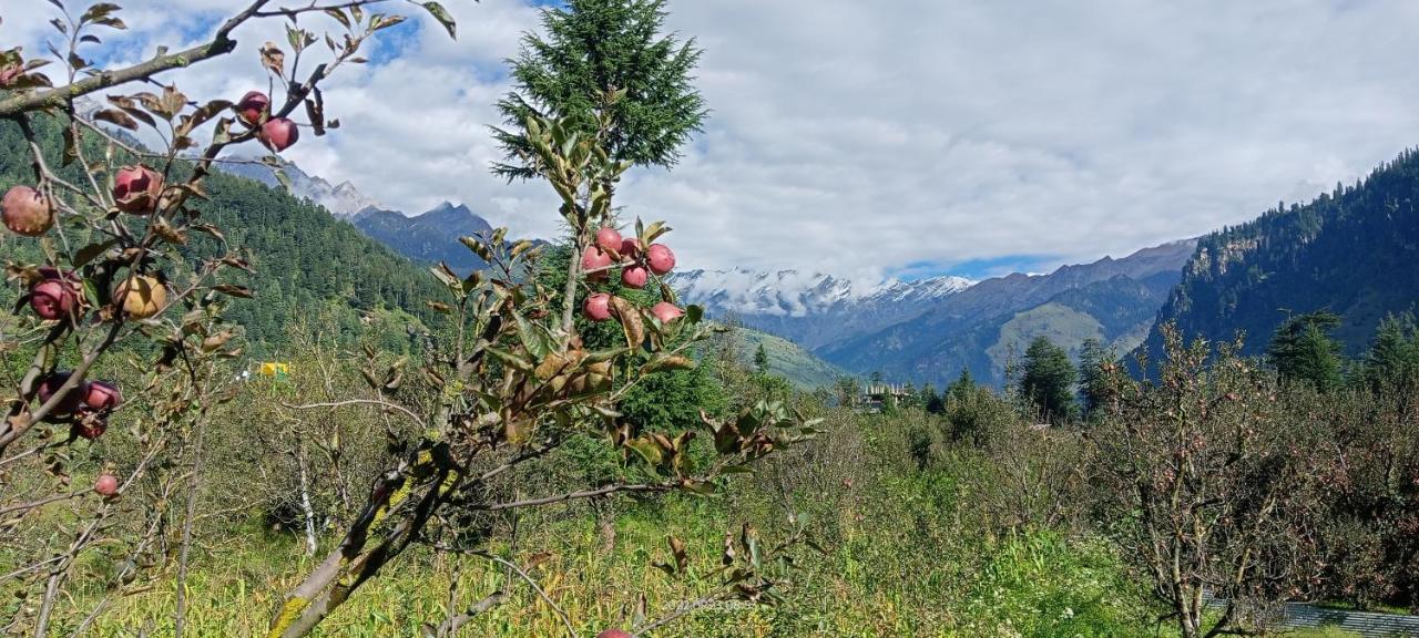 Apple Flower With Balcony And Mountain View Manāli Extérieur photo