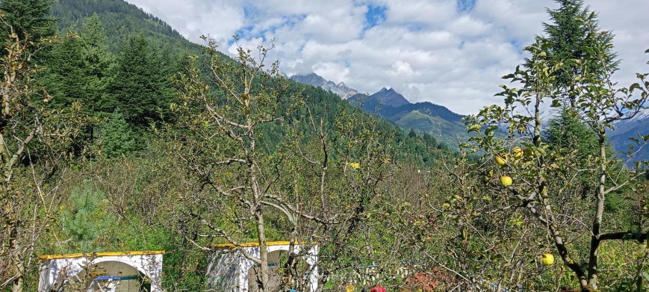 Apple Flower With Balcony And Mountain View Manāli Extérieur photo